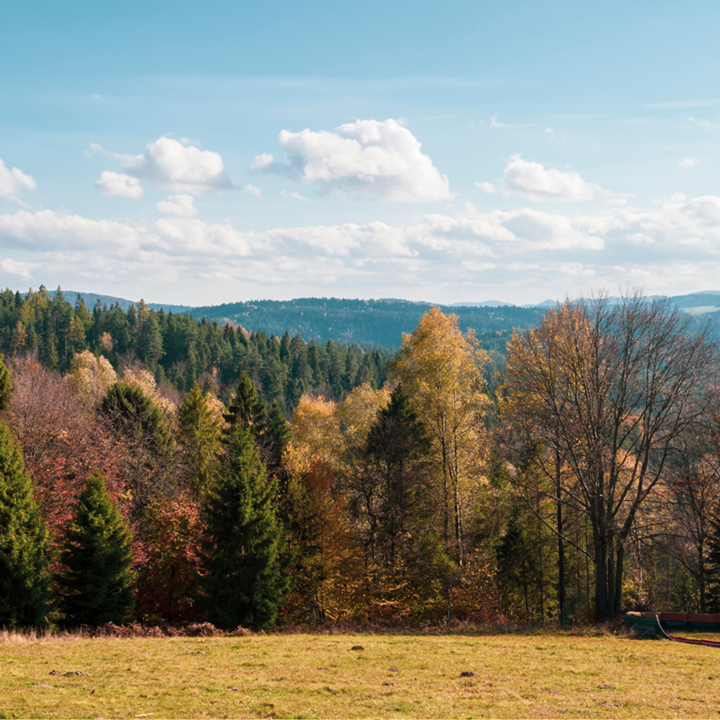 Zaproszenie na eko - rajd turystyczny 04.10.2025