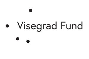 Visegard Fund